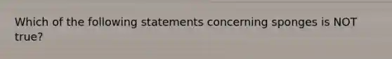 Which of the following statements concerning sponges is NOT true?