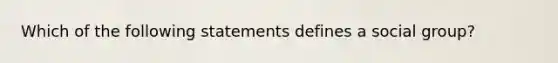 Which of the following statements defines a social group?