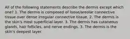 All of the following statements describe the dermis except which one? 1. The dermis is composed of loose/areolar connective tissue over dense irregular connective tissue. 2. The dermis is the skin's most superficial layer. 3. The dermis has cutaneous glands, hair follicles, and nerve endings. 3. The dermis is the skin's deepest layer.