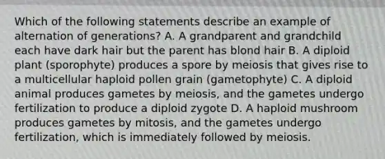 Which of the following statements describe an example of alternation of generations? A. A grandparent and grandchild each have dark hair but the parent has blond hair B. A diploid plant (sporophyte) produces a spore by meiosis that gives rise to a multicellular haploid pollen grain (gametophyte) C. A diploid animal produces gametes by meiosis, and the gametes undergo fertilization to produce a diploid zygote D. A haploid mushroom produces gametes by mitosis, and the gametes undergo fertilization, which is immediately followed by meiosis.