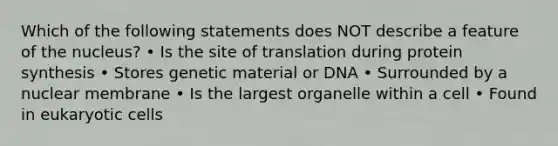 Which of the following statements does NOT describe a feature of the nucleus? • Is the site of translation during protein synthesis • Stores genetic material or DNA • Surrounded by a nuclear membrane • Is the largest organelle within a cell • Found in eukaryotic cells