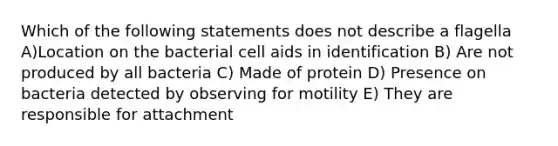 Which of the following statements does not describe a flagella A)Location on the bacterial cell aids in identification B) Are not produced by all bacteria C) Made of protein D) Presence on bacteria detected by observing for motility E) They are responsible for attachment