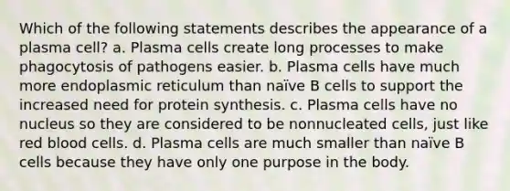 Which of the following statements describes the appearance of a plasma cell? a. Plasma cells create long processes to make phagocytosis of pathogens easier. b. Plasma cells have much more endoplasmic reticulum than naïve B cells to support the increased need for protein synthesis. c. Plasma cells have no nucleus so they are considered to be nonnucleated cells, just like red blood cells. d. Plasma cells are much smaller than naïve B cells because they have only one purpose in the body.