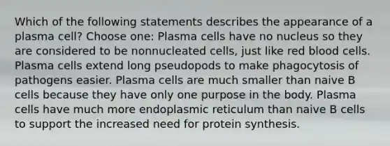 Which of the following statements describes the appearance of a plasma cell? Choose one: Plasma cells have no nucleus so they are considered to be nonnucleated cells, just like red blood cells. Plasma cells extend long pseudopods to make phagocytosis of pathogens easier. Plasma cells are much smaller than naive B cells because they have only one purpose in the body. Plasma cells have much more endoplasmic reticulum than naive B cells to support the increased need for <a href='https://www.questionai.com/knowledge/kVyphSdCnD-protein-synthesis' class='anchor-knowledge'>protein synthesis</a>.