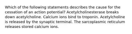 Which of the following statements describes the cause for the cessation of an action potential? Acetylcholinesterase breaks down acetylcholine. Calcium ions bind to troponin. Acetylcholine is released by the synaptic terminal. The sarcoplasmic reticulum releases stored calcium ions.