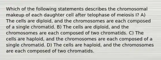 Which of the following statements describes the chromosomal makeup of each daughter cell after telophase of meiosis I? A) The cells are diploid, and the chromosomes are each composed of a single chromatid. B) The cells are diploid, and the chromosomes are each composed of two chromatids. C) The cells are haploid, and the chromosomes are each composed of a single chromatid. D) The cells are haploid, and the chromosomes are each composed of two chromatids.