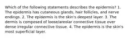 Which of the following statements describes the epidermis? 1. The epidermis has cutaneous glands, hair follicles, and nerve endings. 2. The epidermis is the skin's deepest layer. 3. The dermis is composed of loose/areolar connective tissue over dense irregular connective tissue. 4. The epidermis is the skin's most superficial layer.