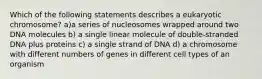 Which of the following statements describes a eukaryotic chromosome? a)a series of nucleosomes wrapped around two DNA molecules b) a single linear molecule of double-stranded DNA plus proteins c) a single strand of DNA d) a chromosome with different numbers of genes in different cell types of an organism