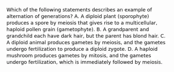 Which of the following statements describes an example of alternation of generations? A. A diploid plant (sporophyte) produces a spore by meiosis that gives rise to a multicellular, haploid pollen grain (gametophyte). B. A grandparent and grandchild each have dark hair, but the parent has blond hair. C. A diploid animal produces gametes by meiosis, and the gametes undergo fertilization to produce a diploid zygote. D. A haploid mushroom produces gametes by mitosis, and the gametes undergo fertilization, which is immediately followed by meiosis.