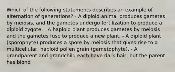 Which of the following statements describes an example of alternation of generations? - A diploid animal produces gametes by meiosis, and the gametes undergo fertilization to produce a diploid zygote. - A haploid plant produces gametes by meiosis and the gametes fuse to produce a new plant. - A diploid plant (sporophyte) produces a spore by meiosis that gives rise to a multicellular, haploid pollen grain (gametophyte). - A grandparent and grandchild each have dark hair, but the parent has blond