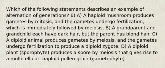 Which of the following statements describes an example of alternation of generations? 6) A) A haploid mushroom produces gametes by mitosis, and the gametes undergo fertilization, which is immediately followed by meiosis. B) A grandparent and grandchild each have dark hair, but the parent has blond hair. C) A diploid animal produces gametes by meiosis, and the gametes undergo fertilization to produce a diploid zygote. D) A diploid plant (sporophyte) produces a spore by meiosis that gives rise to a multicellular, haploid pollen grain (gametophyte).