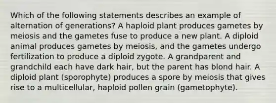 Which of the following statements describes an example of alternation of generations? A haploid plant produces gametes by meiosis and the gametes fuse to produce a new plant. A diploid animal produces gametes by meiosis, and the gametes undergo fertilization to produce a diploid zygote. A grandparent and grandchild each have dark hair, but the parent has blond hair. A diploid plant (sporophyte) produces a spore by meiosis that gives rise to a multicellular, haploid pollen grain (gametophyte).