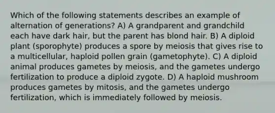 Which of the following statements describes an example of alternation of generations? A) A grandparent and grandchild each have dark hair, but the parent has blond hair. B) A diploid plant (sporophyte) produces a spore by meiosis that gives rise to a multicellular, haploid pollen grain (gametophyte). C) A diploid animal produces gametes by meiosis, and the gametes undergo fertilization to produce a diploid zygote. D) A haploid mushroom produces gametes by mitosis, and the gametes undergo fertilization, which is immediately followed by meiosis.