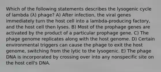 Which of the following statements describes the lysogenic cycle of lambda (λ) phage? A) After infection, the viral genes immediately turn the host cell into a lambda-producing factory, and the host cell then lyses. B) Most of the prophage genes are activated by the product of a particular prophage gene. C) The phage genome replicates along with the host genome. D) Certain environmental triggers can cause the phage to exit the host genome, switching from the lytic to the lysogenic. E) The phage DNA is incorporated by crossing over into any nonspecific site on the host cell's DNA.