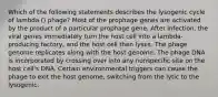 Which of the following statements describes the lysogenic cycle of lambda () phage? Most of the prophage genes are activated by the product of a particular prophage gene. After infection, the viral genes immediately turn the host cell into a lambda-producing factory, and the host cell then lyses. The phage genome replicates along with the host genome. The phage DNA is incorporated by crossing over into any nonspecific site on the host cell's DNA. Certain environmental triggers can cause the phage to exit the host genome, switching from the lytic to the lysogenic.