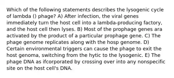 Which of the following statements describes the lysogenic cycle of lambda () phage? A) After infection, the viral genes immediately turn the host cell into a lambda-producing factory, and the host cell then lyses. B) Most of the prophage genes ara activated by the product of a particular prophage gene. C) The phage genome replicates along with the hosp genome. D) Certain environmental triggers can cause the phage to exit the host genoma, switching from the hytic to the lysogenic. E) The phage DNA as ifcorporated by crossing over into any nonspecific site on the host cell's DNA.