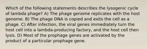 Which of the following statements describes the lysogenic cycle of lambda phage? A) The phage genome replicates with the host genome. B) The phage DNA is copied and exits the cell as a phage. C) After infection, the viral genes immediately turn the host cell into a lambda-producing factory, and the host cell then lysis. D) Most of the prophage genes are activated by the product of a particular prophage gene.