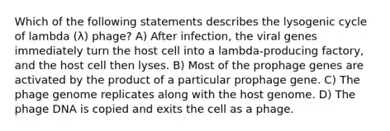 Which of the following statements describes the lysogenic cycle of lambda (λ) phage? A) After infection, the viral genes immediately turn the host cell into a lambda-producing factory, and the host cell then lyses. B) Most of the prophage genes are activated by the product of a particular prophage gene. C) The phage genome replicates along with the host genome. D) The phage DNA is copied and exits the cell as a phage.