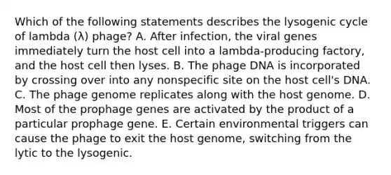 Which of the following statements describes the lysogenic cycle of lambda (λ) phage? A. After infection, the viral genes immediately turn the host cell into a lambda-producing factory, and the host cell then lyses. B. The phage DNA is incorporated by crossing over into any nonspecific site on the host cell's DNA. C. The phage genome replicates along with the host genome. D. Most of the prophage genes are activated by the product of a particular prophage gene. E. Certain environmental triggers can cause the phage to exit the host genome, switching from the lytic to the lysogenic.