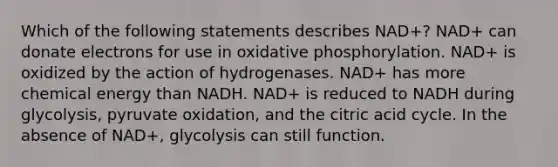 Which of the following statements describes NAD+? NAD+ can donate electrons for use in oxidative phosphorylation. NAD+ is oxidized by the action of hydrogenases. NAD+ has more chemical energy than NADH. NAD+ is reduced to NADH during glycolysis, pyruvate oxidation, and the citric acid cycle. In the absence of NAD+, glycolysis can still function.