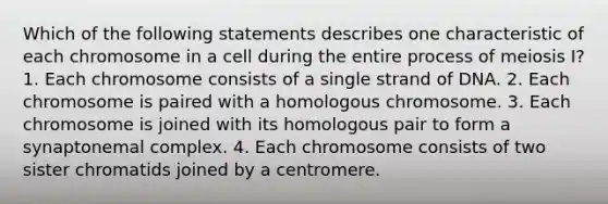 Which of the following statements describes one characteristic of each chromosome in a cell during the entire process of meiosis I? 1. Each chromosome consists of a single strand of DNA. 2. Each chromosome is paired with a homologous chromosome. 3. Each chromosome is joined with its homologous pair to form a synaptonemal complex. 4. Each chromosome consists of two sister chromatids joined by a centromere.