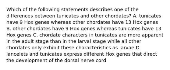 Which of the following statements describes one of the differences between tunicates and other chordates? A. tunicates have 9 Hox genes whereas other chordates have 13 Hox genes B. other chordates have 9 Hox genes whereas tunicates have 13 Hox genes C. chordate characters in tunicates are more apparent in the adult stage than in the larval stage while all other chordates only exhibit these characteristics as larvae D. lancelets and tunicates express different Hox genes that direct the development of the dorsal nerve cord