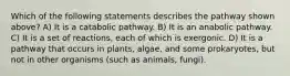 Which of the following statements describes the pathway shown above? A) It is a catabolic pathway. B) It is an anabolic pathway. C) It is a set of reactions, each of which is exergonic. D) It is a pathway that occurs in plants, algae, and some prokaryotes, but not in other organisms (such as animals, fungi).