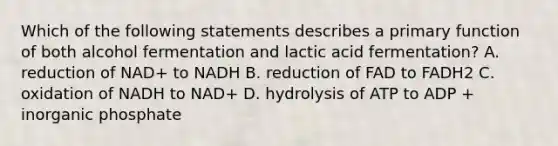 Which of the following statements describes a primary function of both alcohol fermentation and lactic acid fermentation? A. reduction of NAD+ to NADH B. reduction of FAD to FADH2 C. oxidation of NADH to NAD+ D. hydrolysis of ATP to ADP + inorganic phosphate