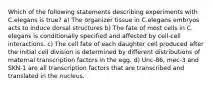 Which of the following statements describing experiments with C.elegans is true? a) The organizer tissue in C.elegans embryos acts to induce dorsal structures b) The fate of most cells in C. elegans is conditionally specified and affected by cell-cell interactions. c) The cell fate of each daughter cell produced after the initial cell division is determined by different distributions of maternal transcription factors in the egg. d) Unc-86, mec-3 and SKN-1 are all transcription factors that are transcribed and translated in the nucleus.