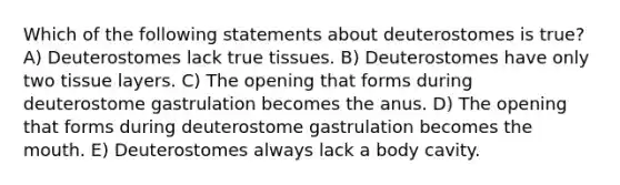 Which of the following statements about deuterostomes is true? A) Deuterostomes lack true tissues. B) Deuterostomes have only two tissue layers. C) The opening that forms during deuterostome gastrulation becomes the anus. D) The opening that forms during deuterostome gastrulation becomes the mouth. E) Deuterostomes always lack a body cavity.