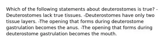 Which of the following statements about deuterostomes is true? -Deuterostomes lack true tissues. -Deuterostomes have only two tissue layers. -The opening that forms during deuterostome gastrulation becomes the anus. -The opening that forms during deuterostome gastrulation becomes the mouth.