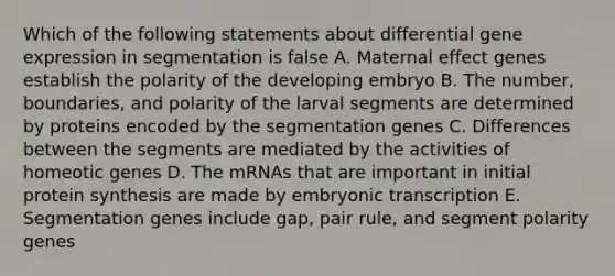 Which of the following statements about differential gene expression in segmentation is false A. Maternal effect genes establish the polarity of the developing embryo B. The number, boundaries, and polarity of the larval segments are determined by proteins encoded by the segmentation genes C. Differences between the segments are mediated by the activities of homeotic genes D. The mRNAs that are important in initial protein synthesis are made by embryonic transcription E. Segmentation genes include gap, pair rule, and segment polarity genes