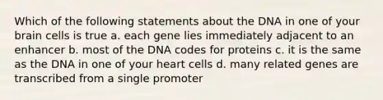 Which of the following statements about the DNA in one of your brain cells is true a. each gene lies immediately adjacent to an enhancer b. most of the DNA codes for proteins c. it is the same as the DNA in one of your heart cells d. many related genes are transcribed from a single promoter