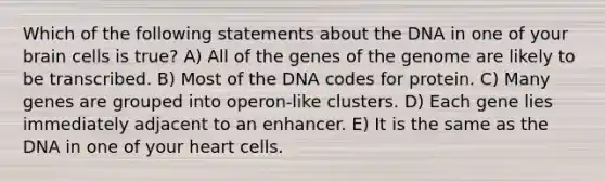 Which of the following statements about the DNA in one of your brain cells is true? A) All of the genes of the genome are likely to be transcribed. B) Most of the DNA codes for protein. C) Many genes are grouped into operon-like clusters. D) Each gene lies immediately adjacent to an enhancer. E) It is the same as the DNA in one of your heart cells.