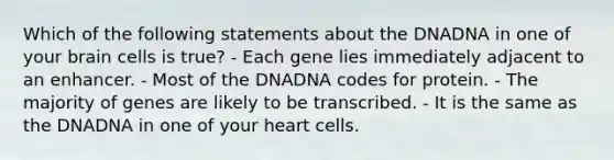 Which of the following statements about the DNADNA in one of your brain cells is true? - Each gene lies immediately adjacent to an enhancer. - Most of the DNADNA codes for protein. - The majority of genes are likely to be transcribed. - It is the same as the DNADNA in one of your heart cells.