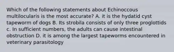Which of the following statements about Echinoccous multilocularis is the most accurate? A. it is the hydatid cyst tapeworm of dogs B. Its strobila consists of only three proglottids c. In sufficient numbers, the adults can cause intestinal obstruction D. it is among the largest tapeworms encountered in veterinary parasitology