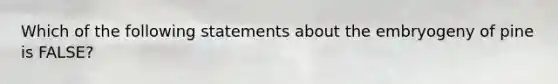 Which of the following statements about the embryogeny of pine is FALSE?