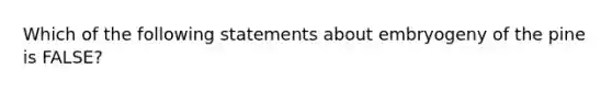 Which of the following statements about embryogeny of the pine is FALSE?