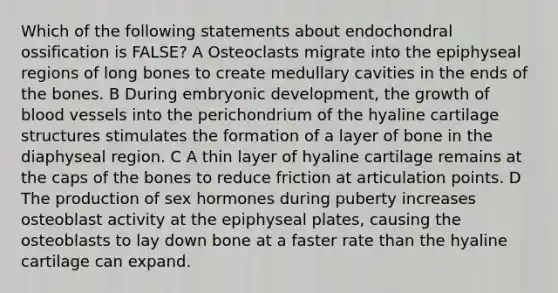 Which of the following statements about endochondral ossification is FALSE? A Osteoclasts migrate into the epiphyseal regions of long bones to create medullary cavities in the ends of the bones. B During embryonic development, the growth of blood vessels into the perichondrium of the hyaline cartilage structures stimulates the formation of a layer of bone in the diaphyseal region. C A thin layer of hyaline cartilage remains at the caps of the bones to reduce friction at articulation points. D The production of sex hormones during puberty increases osteoblast activity at the epiphyseal plates, causing the osteoblasts to lay down bone at a faster rate than the hyaline cartilage can expand.