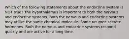 Which of the following statements about the endocrine system is NOT true? The hypothalamus is important to both the nervous and endocrine systems. Both the nervous and endocrine systems may utilize the same chemical molecule. Some neurons secrete hormones. Both the nervous and endocrine systems respond quickly and are active for a long time.