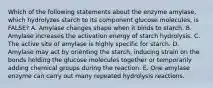 Which of the following statements about the enzyme amylase, which hydrolyzes starch to its component glucose molecules, is FALSE? A. Amylase changes shape when it binds to starch. B. Amylase increases the activation energy of starch hydrolysis. C. The active site of amylase is highly specific for starch. D. Amylase may act by orienting the starch, inducing strain on the bonds holding the glucose molecules together or temporarily adding chemical groups during the reaction. E. One amylase enzyme can carry out many repeated hydrolysis reactions.