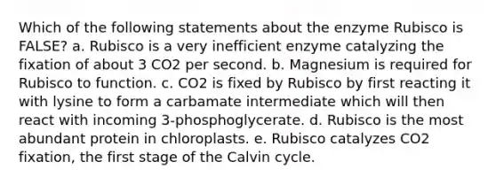 Which of the following statements about the enzyme Rubisco is FALSE? a. Rubisco is a very inefficient enzyme catalyzing the fixation of about 3 CO2 per second. b. Magnesium is required for Rubisco to function. c. CO2 is fixed by Rubisco by first reacting it with lysine to form a carbamate intermediate which will then react with incoming 3-phosphoglycerate. d. Rubisco is the most abundant protein in chloroplasts. e. Rubisco catalyzes CO2 fixation, the first stage of the Calvin cycle.