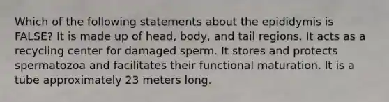 Which of the following statements about the epididymis is FALSE? It is made up of head, body, and tail regions. It acts as a recycling center for damaged sperm. It stores and protects spermatozoa and facilitates their functional maturation. It is a tube approximately 23 meters long.