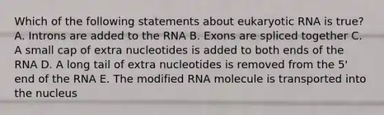 Which of the following statements about eukaryotic RNA is true? A. Introns are added to the RNA B. Exons are spliced together C. A small cap of extra nucleotides is added to both ends of the RNA D. A long tail of extra nucleotides is removed from the 5' end of the RNA E. The modified RNA molecule is transported into the nucleus