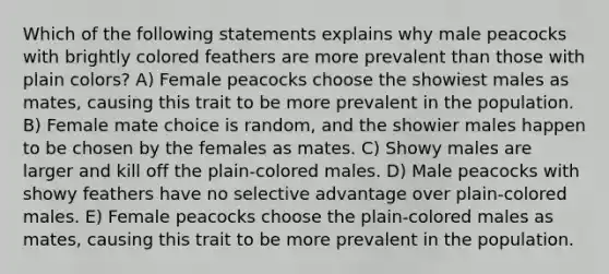 Which of the following statements explains why male peacocks with brightly colored feathers are more prevalent than those with plain colors? A) Female peacocks choose the showiest males as mates, causing this trait to be more prevalent in the population. B) Female mate choice is random, and the showier males happen to be chosen by the females as mates. C) Showy males are larger and kill off the plain-colored males. D) Male peacocks with showy feathers have no selective advantage over plain-colored males. E) Female peacocks choose the plain-colored males as mates, causing this trait to be more prevalent in the population.