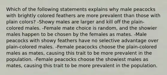 Which of the following statements explains why male peacocks with brightly colored feathers are more prevalent than those with plain colors? -Showy males are larger and kill off the plain-colored males. -Female mate choice is random, and the showier males happen to be chosen by the females as mates. -Male peacocks with showy feathers have no selective advantage over plain-colored males. -Female peacocks choose the plain-colored males as mates, causing this trait to be more prevalent in the population. -Female peacocks choose the showiest males as mates, causing this trait to be more prevalent in the population.