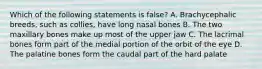 Which of the following statements is false? A. Brachycephalic breeds, such as collies, have long nasal bones B. The two maxillary bones make up most of the upper jaw C. The lacrimal bones form part of the medial portion of the orbit of the eye D. The palatine bones form the caudal part of the hard palate