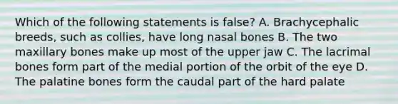 Which of the following statements is false? A. Brachycephalic breeds, such as collies, have long nasal bones B. The two maxillary bones make up most of the upper jaw C. The lacrimal bones form part of the medial portion of the orbit of the eye D. The palatine bones form the caudal part of the hard palate