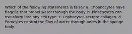 Which of the following statements is false? a. Choanocytes have flagella that propel water through the body. b. Pinacocytes can transform into any cell type. c. Lophocytes secrete collagen. d. Porocytes control the flow of water through pores in the sponge body.