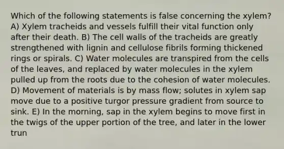 Which of the following statements is false concerning the xylem? A) Xylem tracheids and vessels fulfill their vital function only after their death. B) The cell walls of the tracheids are greatly strengthened with lignin and cellulose fibrils forming thickened rings or spirals. C) Water molecules are transpired from the cells of the leaves, and replaced by water molecules in the xylem pulled up from the roots due to the cohesion of water molecules. D) Movement of materials is by mass flow; solutes in xylem sap move due to a positive turgor pressure gradient from source to sink. E) In the morning, sap in the xylem begins to move first in the twigs of the upper portion of the tree, and later in the lower trun